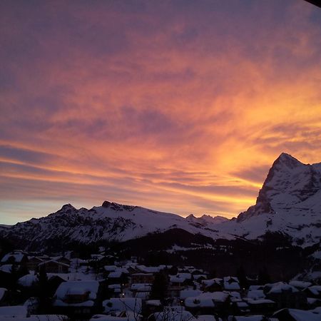 Chalet Schoenbuehl Mürren Dış mekan fotoğraf