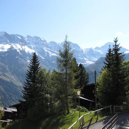 Chalet Schoenbuehl Mürren Dış mekan fotoğraf