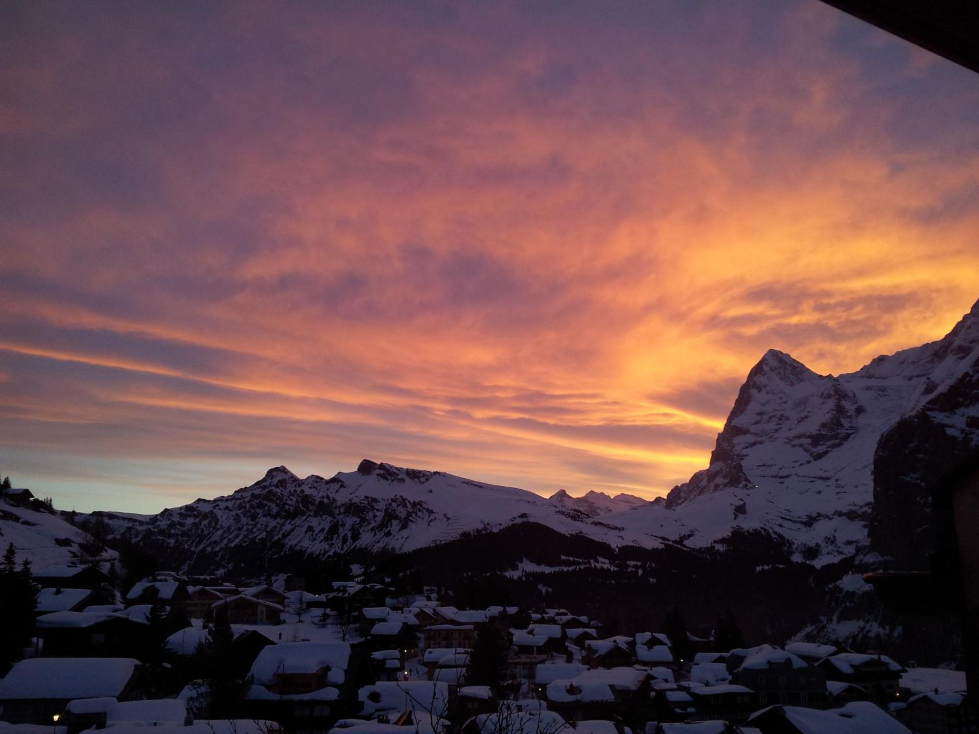 Chalet Schoenbuehl Mürren Dış mekan fotoğraf