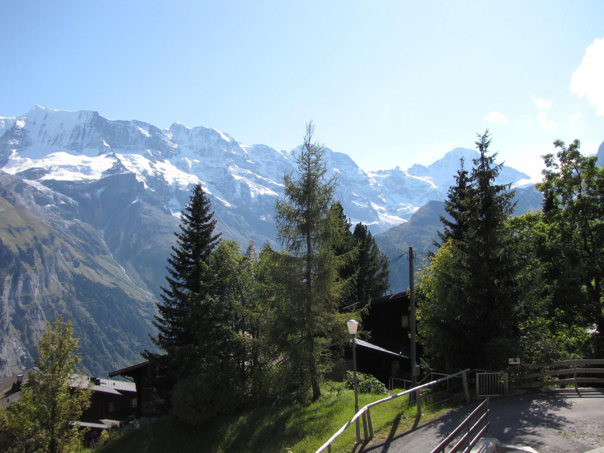 Chalet Schoenbuehl Mürren Dış mekan fotoğraf