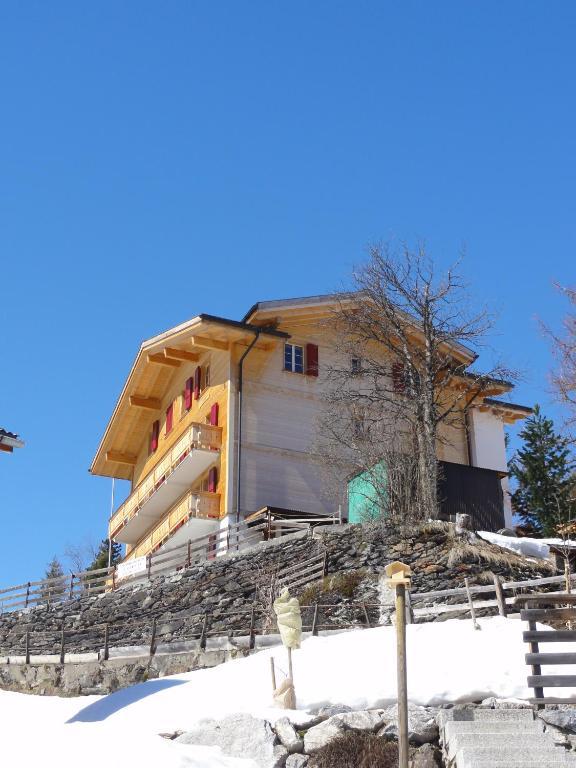 Chalet Schoenbuehl Mürren Dış mekan fotoğraf