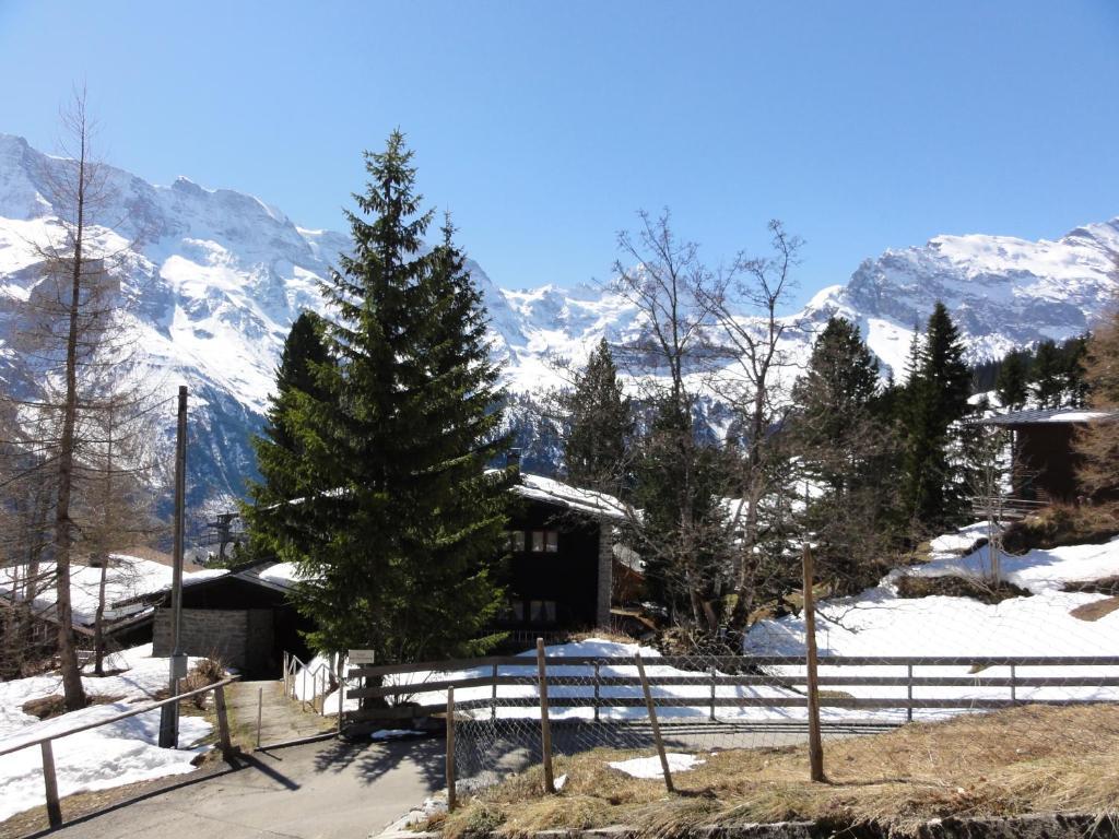 Chalet Schoenbuehl Mürren Dış mekan fotoğraf