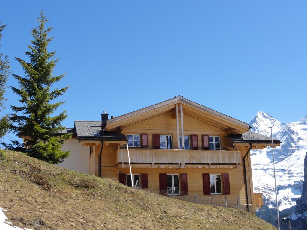 Chalet Schoenbuehl Mürren Dış mekan fotoğraf