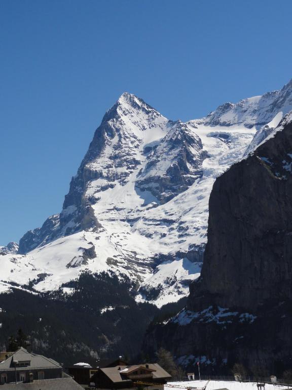 Chalet Schoenbuehl Mürren Dış mekan fotoğraf