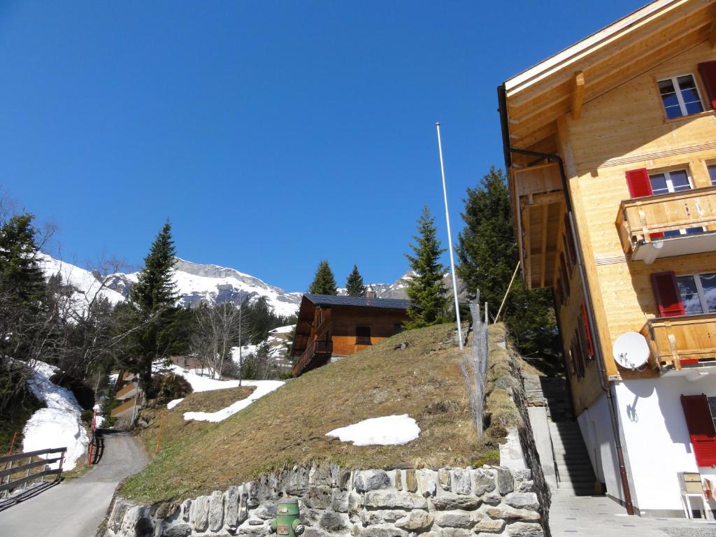 Chalet Schoenbuehl Mürren Dış mekan fotoğraf