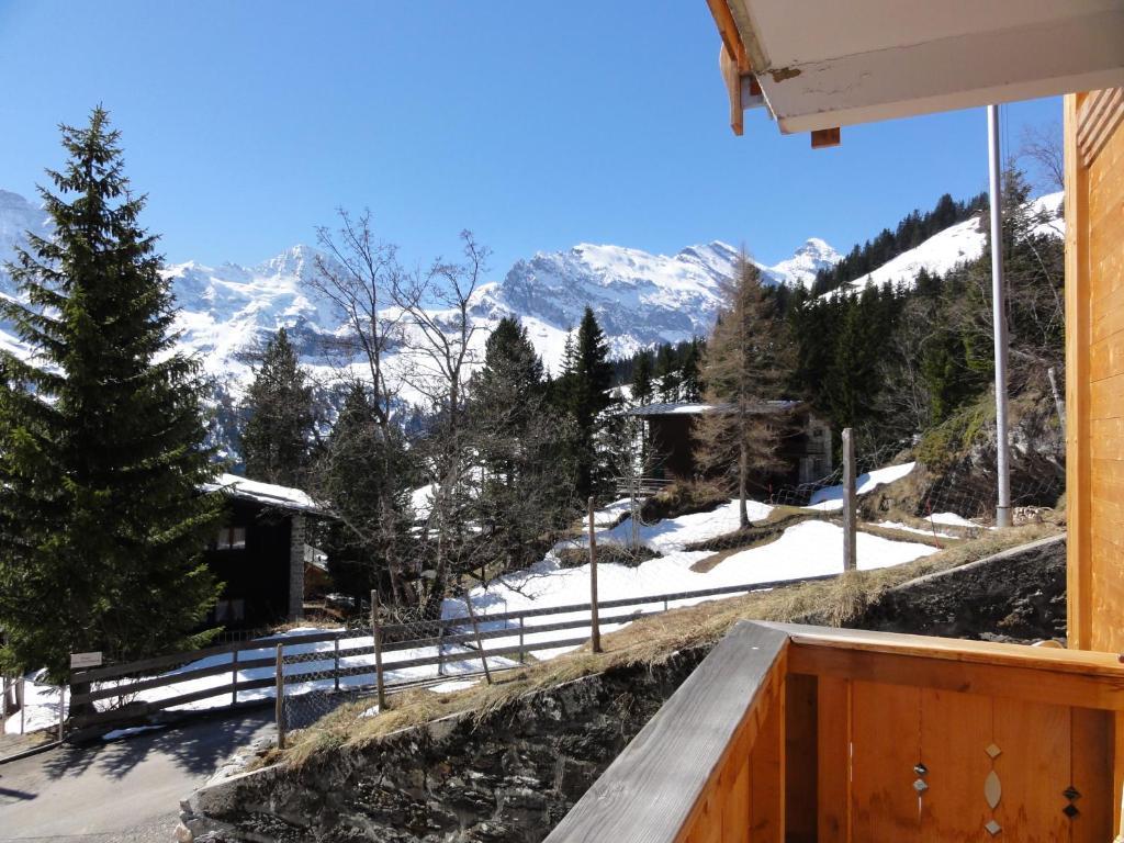 Chalet Schoenbuehl Mürren Dış mekan fotoğraf