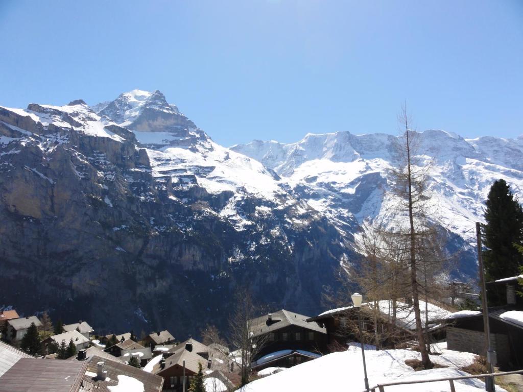 Chalet Schoenbuehl Mürren Dış mekan fotoğraf